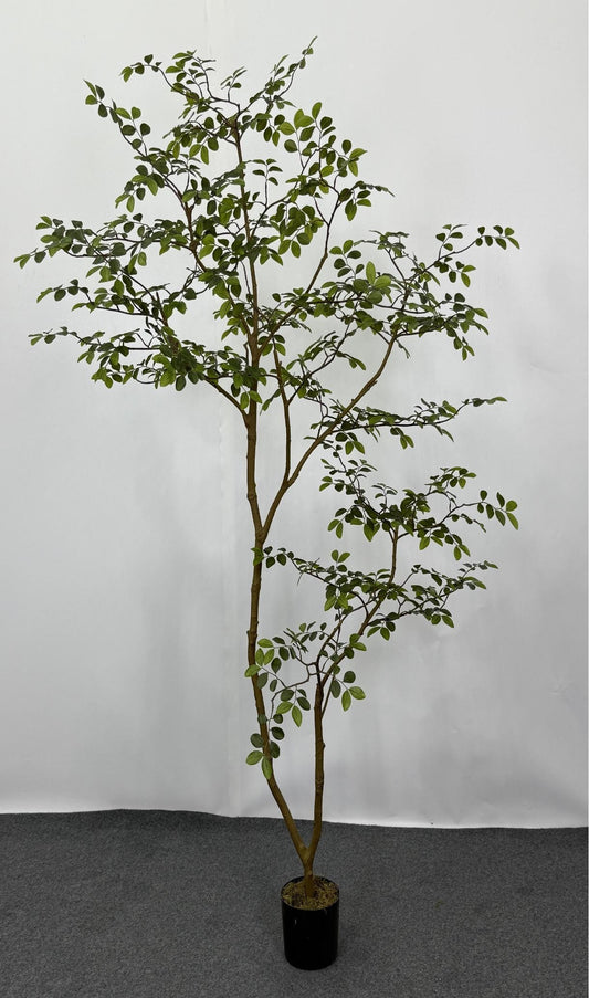 SH007-00006 (Height：1.8m)