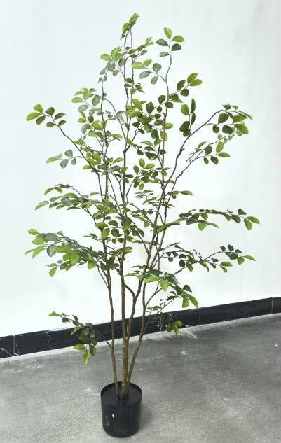 SH007-00003 (Height：1.5m）
