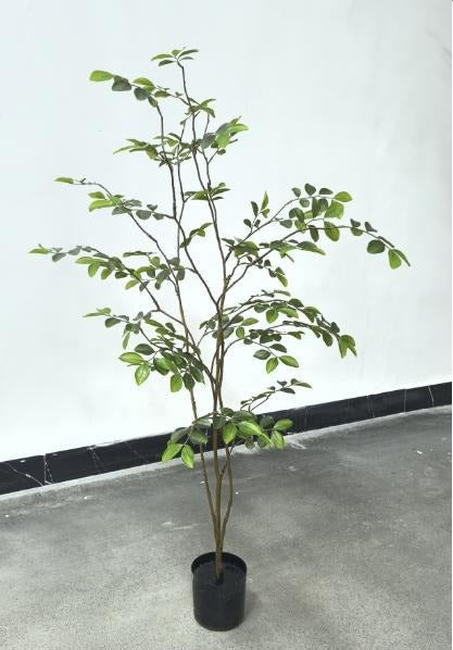 SH007-00004 (Height：1.2m)